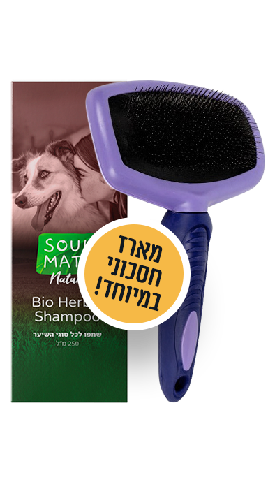 מברשת סירוק + שמפו