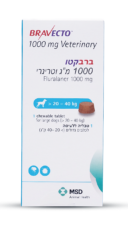 עגלה